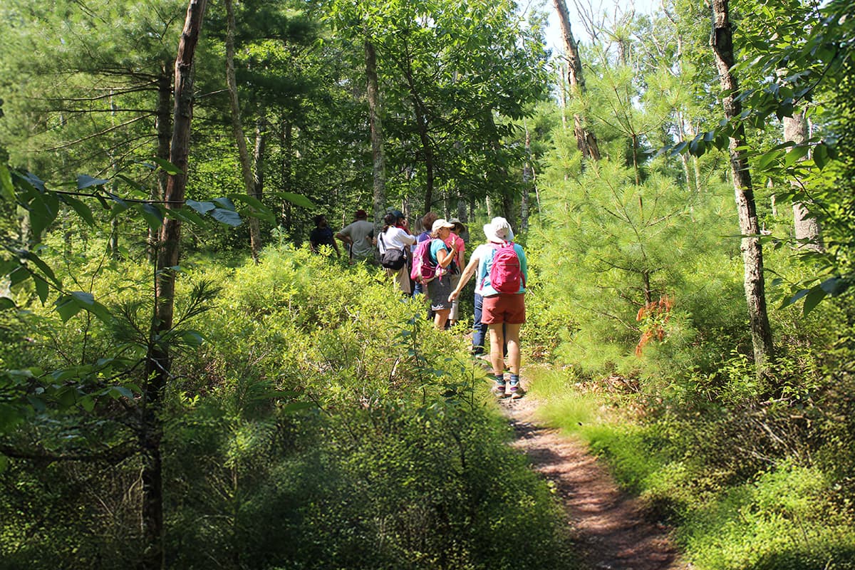 Group of hikers walking a wooded trail on South Kingstown Land Trust preserved open space.